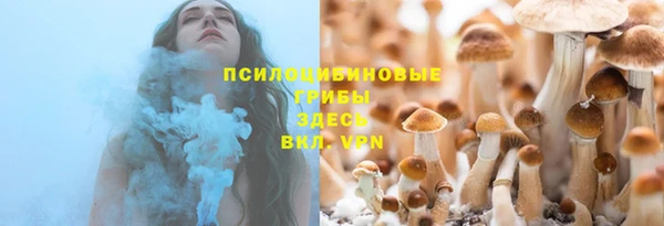 дживик Белокуриха