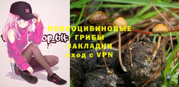 скорость Богородицк
