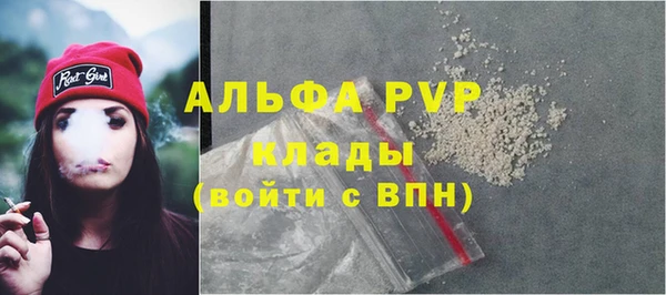 PSILOCYBIN Беломорск